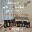 헬로쪼꼬씨