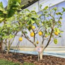 여수농업기술센터 이미지