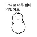 (주)평촌활어 이미지