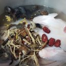 다시오리 이미지