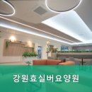 춘천요양원 강원효실버요양원 최신 시설과 맞춤형 케어로 행복한 노년을 만들어 드립니다