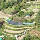 금수 태양광발전소 이미지