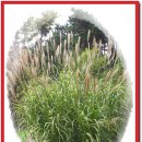 오륙도 가원 이미지