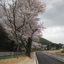 보경사 입구 이미지