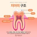 영치과 - 노원구 공릉로34길 34 | 영치과