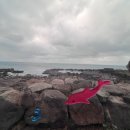 카페디앤디 | 제주2주살기)) 8일차) 도구리알&amp;영해식당&amp;카페 디앤디