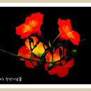 소리풍경 이미지