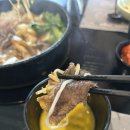 트라이가양