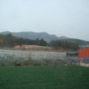 승일농장 이미지