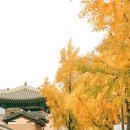 별미삼청수제비 이미지