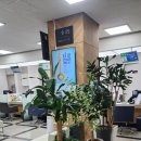 축협농협새용운지점 | 설맞이 농협 신권 교환! 헛걸음 방지 실전 체험 꿀팁