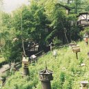 봉평농장 이미지