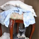 뽀나스PC 이미지