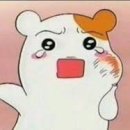 잘가요사랑니치과의원 | [임신준비] 사랑니 양쪽 발치 | 잘가요사랑니치과의원