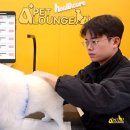 A+(알파 플러스) 펫라운지 | 알파도, 알파플러스(A+)펫라운지 송도 강아지 유치원, 헬스케어 애견카페 런칭