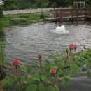 언덕위에 하얀집 이미지