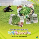 원동식육식당