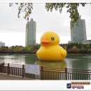 가율분교 이미지