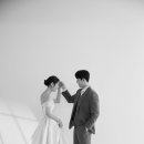 라라컴퍼니 이미지