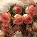 샤네리 | W-6🤍 Propose.