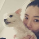 서초힐스동물병원 이미지