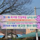 옥산 진달래 십리길 축제 이미지