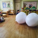 신일초교병설유치원 이미지