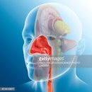 경희여울한의원 이미지