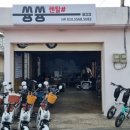 자전거도로 옆 | [제주] 쓩쓩렌탈샵 월정리점 | 동쪽 해안도로 제주도 전기자전거 렌탈후기