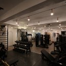 짐포레스트 이미지