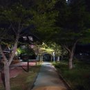 기체육공원 | 월출산 등산코스(산성대-천황봉-도갑사코스로 황홀한 일출산행)