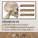 천호위드한의원 이미지