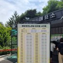 두곡교 뒤 (다리중간) | [예산 예당호] 모노레일 솔직 후기! 매진 피하는 예약 꿀팁부터 주차, 출렁다리 소요시간까지