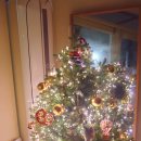 봉곡주유소 이미지