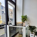 댕이멍이 이미지