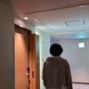 간다투어 - 성동구 광나루로 291 | [2024년/2월 일본 나고야 여행] 설 명절에 떠난 나고야 간다 투어, 둘째날..