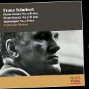 슈베르트 &#39;피아노소나타 21번&#39; 베토벤과 같이 뛰어나고 깊이있는 피아노 소나타를 쓰겠다던 슈베르트가 19번과 20번을 그가 목표하던 베 이미지