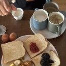 천지동-2 | 강아지와 제주여행 솔직후기-2