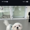 다녀오개습니다 이미지