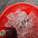 돼지영농후계자 이미지