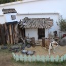 귤낭귤낭 이미지