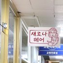 새로나헤어 네이버블로그
