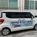 펫스탑 이미지