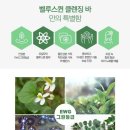 벨루스퀸 - 평택시 | 벨루스퀸