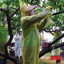 삼항2리 이미지