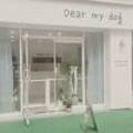 Dear my dog(디어마이독) 이미지