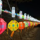 대구 동대사 고려불경 일괄 이미지