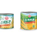 나이스전자