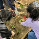 횡성초등학교 이미지
