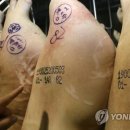 백돼지